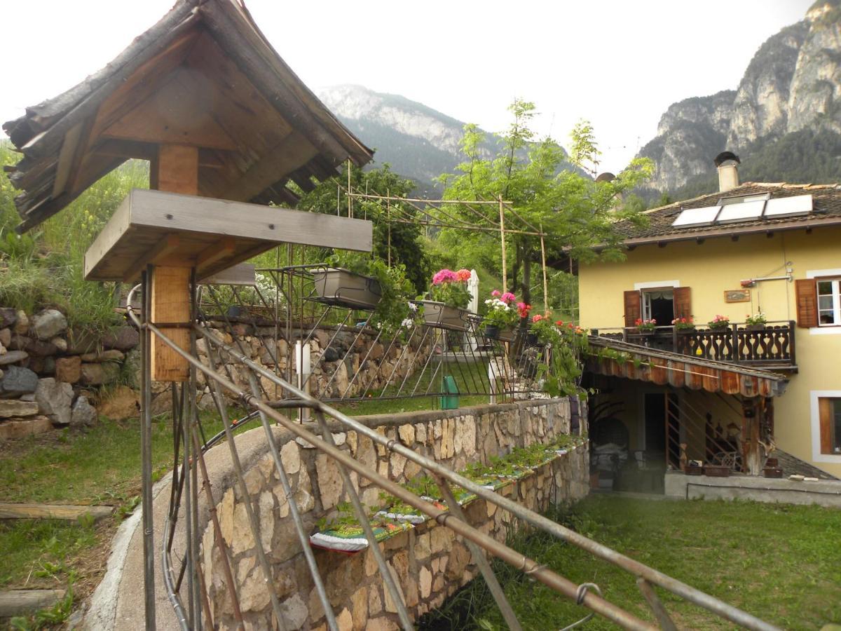 B&B La Casa Delle Bambole Panchia Luaran gambar
