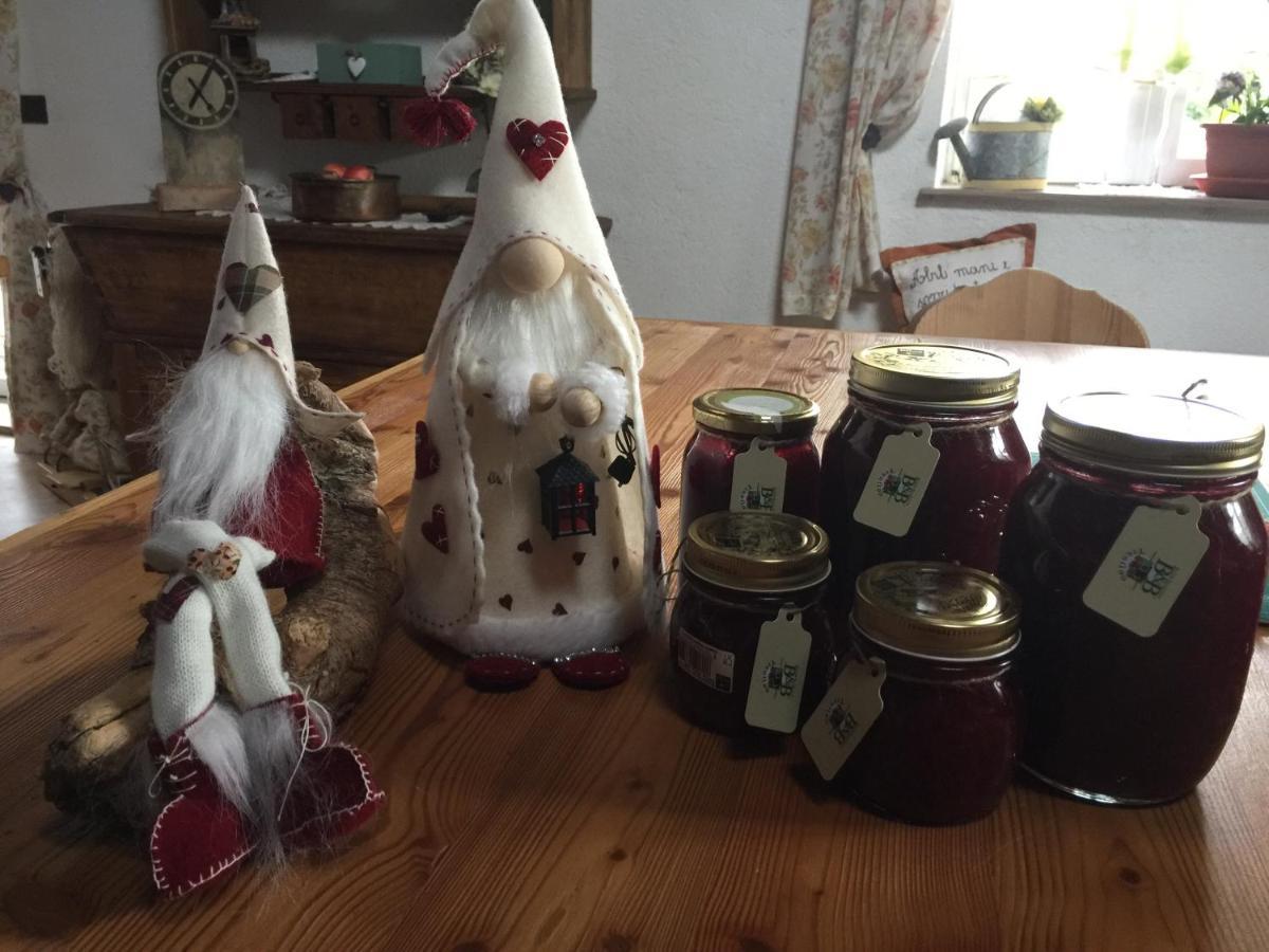 B&B La Casa Delle Bambole Panchia Luaran gambar